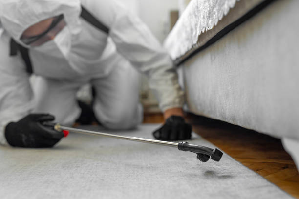 Professional Cockroach Control technician working in Marathon, FL